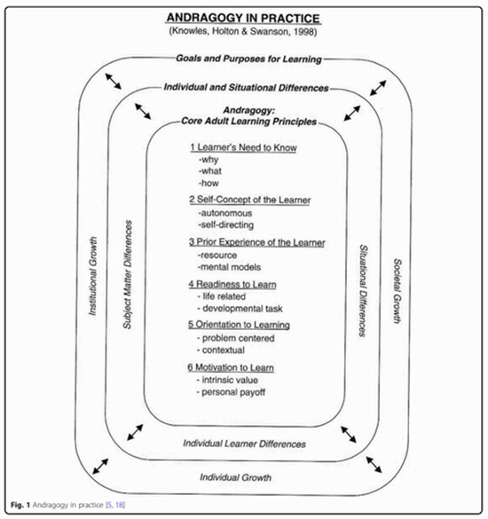 Concordance of the cardiovascular patient education with the principles of Andragogy model {faces}