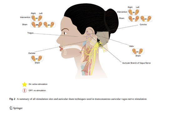 A systematic review of the effects of transcutaneous auricular vagus nerve stimulation on baroreflex sensitivity and heart rate  {faces}