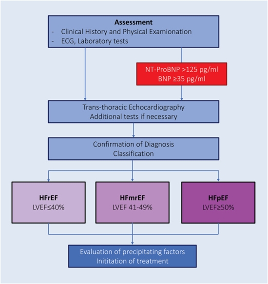 ACC/AHA/HFSA 2022 and ESC 2021 guidelines on heart failure comparison
 {faces}