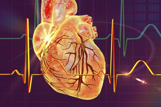 شیوع و عوامل مرتبط با الگوهای ناهنجاری ECG نشان دهنده کانالوپاتی های قلبی در جمعیت عمومی بزرگسالان تهران، ایران {faces}